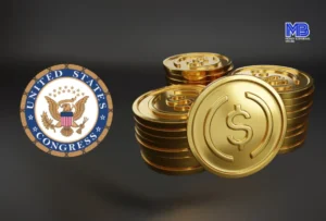 What Are Biitland.com Stablecoins? Benefits, Use Cases & Future Outlook