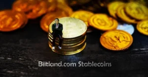 What Are Biitland.com Stablecoins? Benefits, Use Cases & Future Outlook
